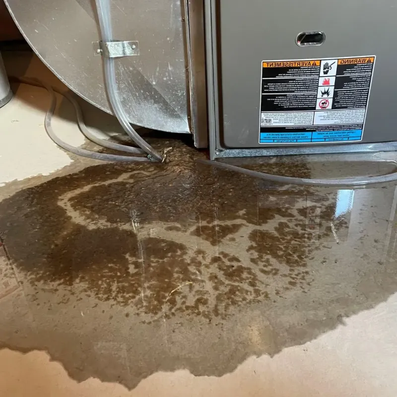 Pipe Burst and Leak Restoration in Meads, KY