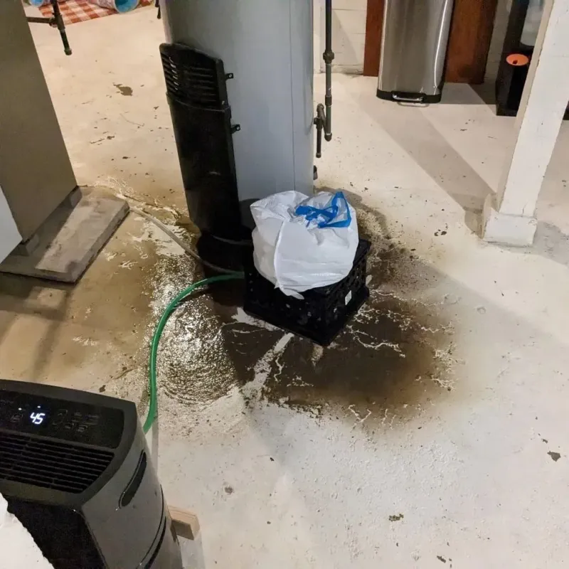 Sewage Backup Cleanup Service in Meads, KY